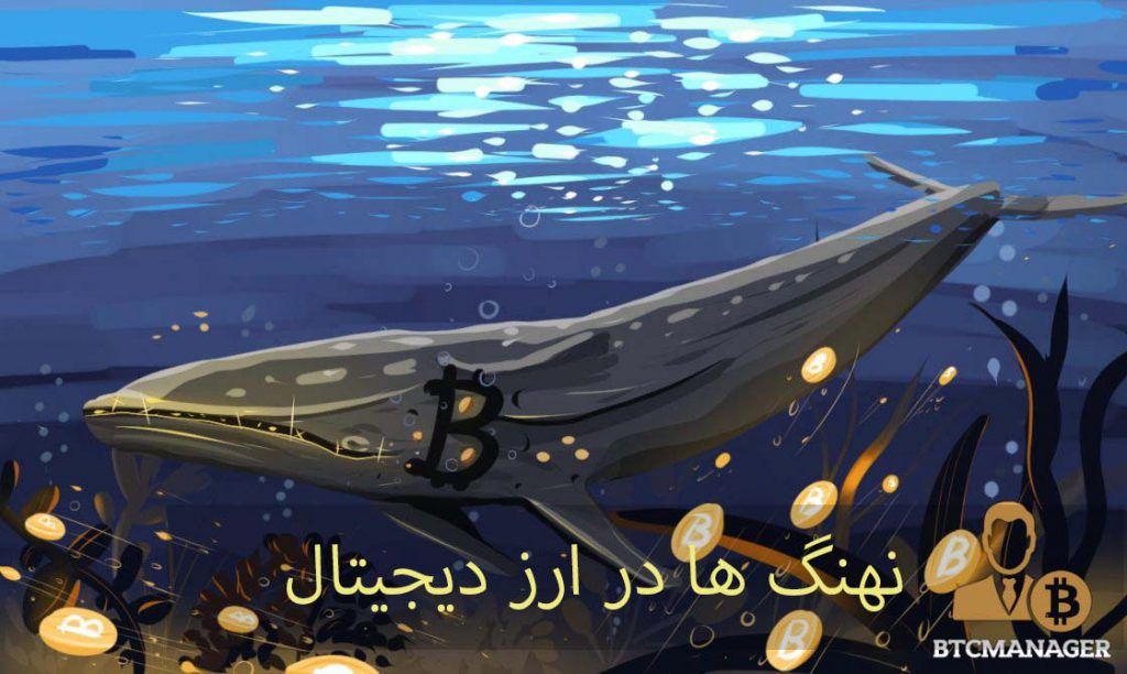 نهنگ ها در ارز دیجیتال